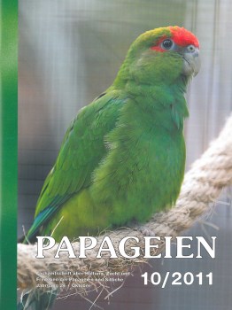 Pap 1011